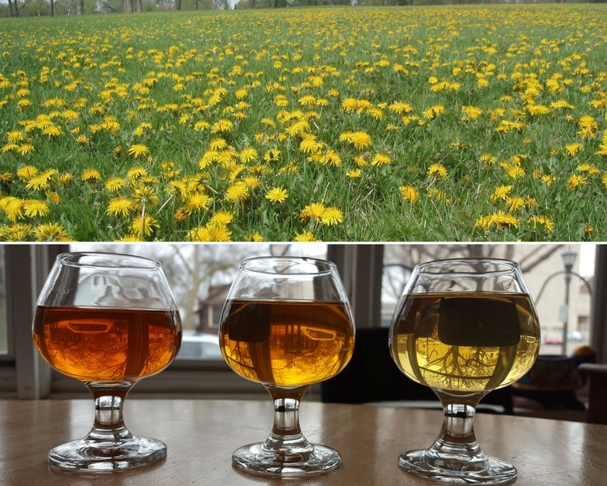 Izvor slike: Chop And Brew