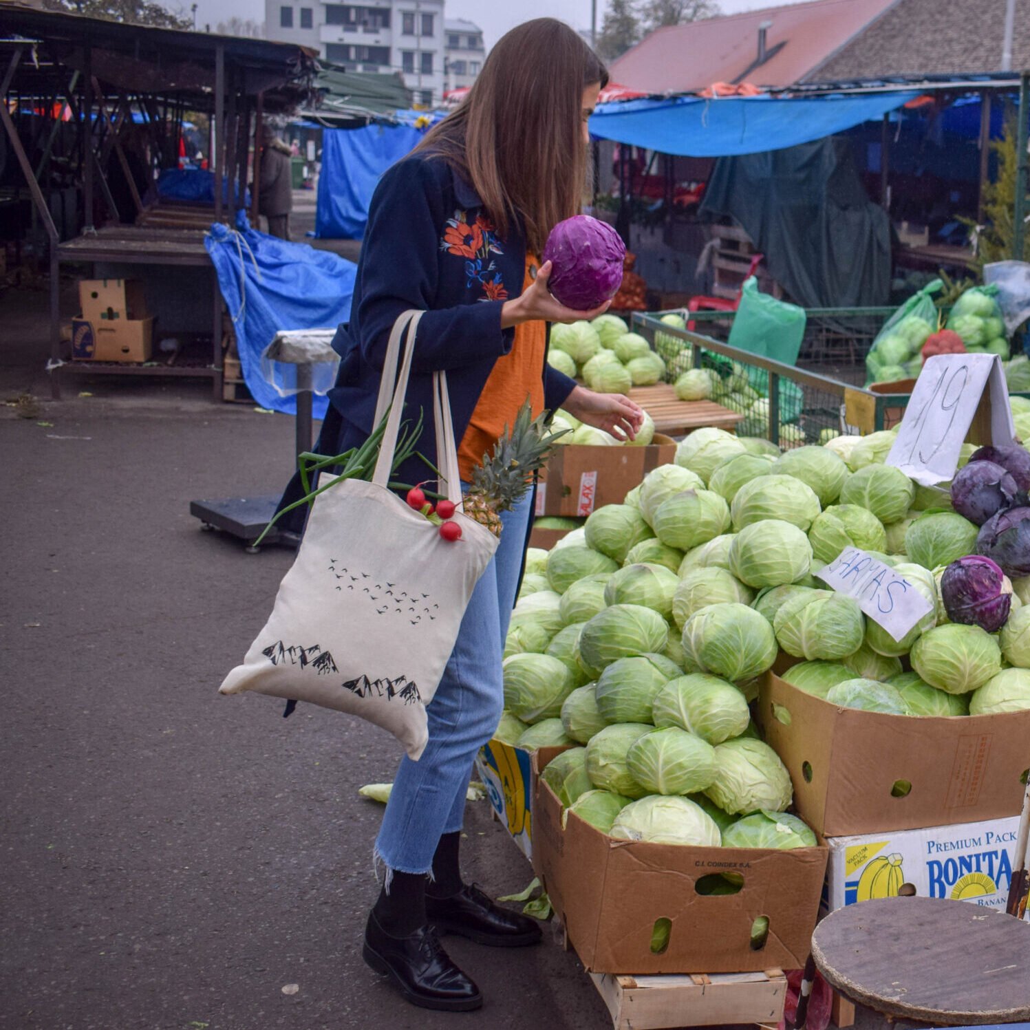 pamučni ceger planine