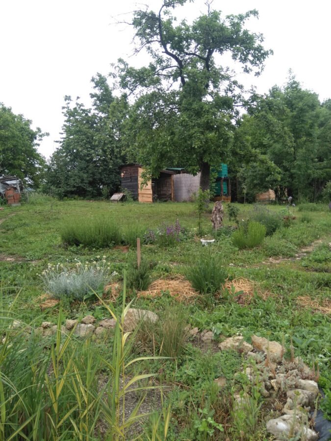 Rtanjski Vrt – dvorište